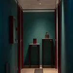 Insula